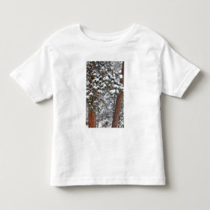 Camiseta Infantil Neve enche o ramo do pinheiro ponderosa