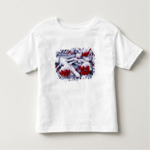 Camiseta Infantil Neve na Europa Mountain Ash Berries, Utah.