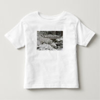 Neve no Jardim Japonês de Portland,