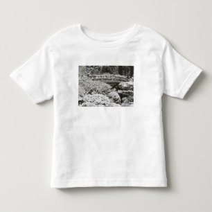 Camiseta Infantil Neve no Jardim Japonês de Portland,