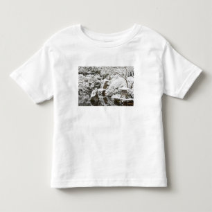 Camiseta Infantil Neve no Jardim Japonês de Portland, 2