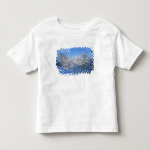 Camiseta Infantil Neve recorde em Louisville, Kentucky.
