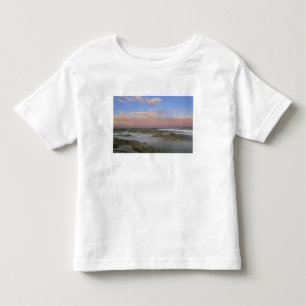 Camiseta Infantil Névoa do rio Little Missouri paira no