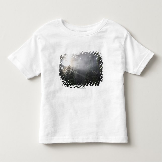 Camiseta Infantil Névoa & feixes de Sun em uma floresta de (Frente)