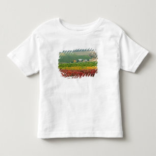 Camiseta Infantil Nevoeiro rasteja sobre a Gehring Brothers Winery a
