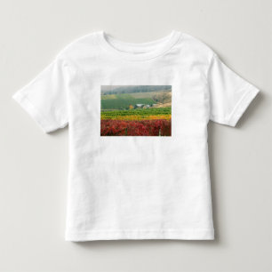 Camiseta Infantil Nevoeiro rasteja sobre a Gehring Brothers Winery a