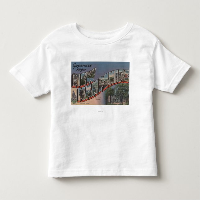 Camiseta Infantil New Hampshire (capital de estado/flor) (Frente)