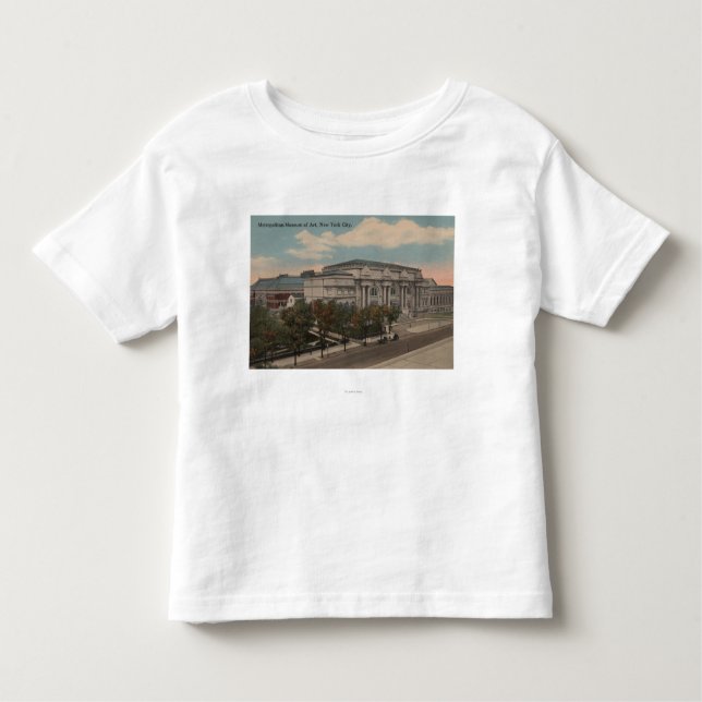Camiseta Infantil New York, NY - museu de arte metropolitano (Frente)