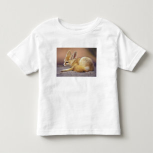 Camiseta Infantil Norte da África. Feneco Fennecus zerda)