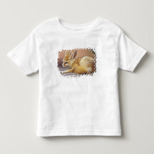 Camiseta Infantil Norte da África. Feneco Fennecus zerda)