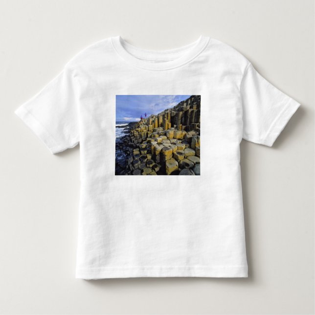 Camiseta Infantil Norte Ireland, County Antrim, Giant's (Frente)