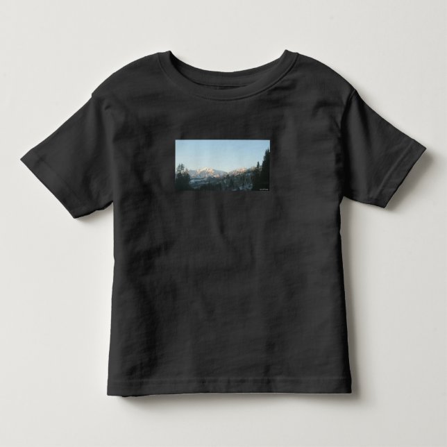 Camiseta Infantil Northern Rocky Mountain Forest  (Frente)