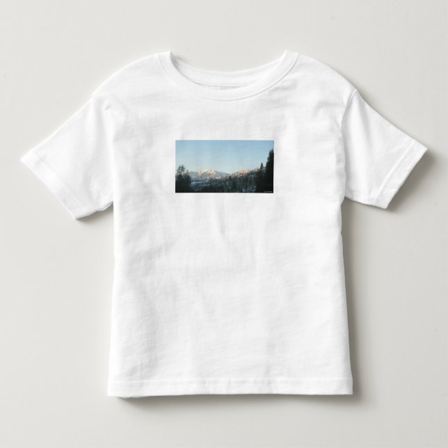 Camiseta Infantil Northern Rocky Mountain Forest (Frente)