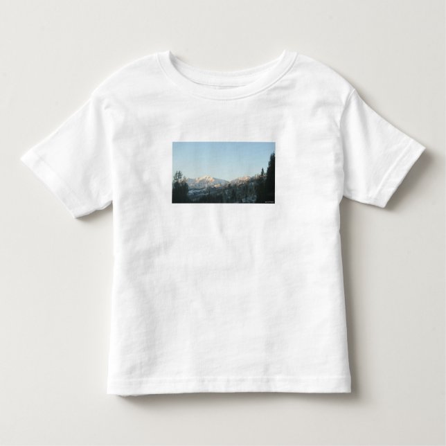 Camiseta Infantil Northern Rocky Mountain Forest (Frente)