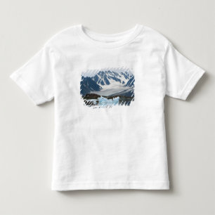 Camiseta Infantil Noruega, Geleiras Recorreadas e icebergue