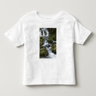Camiseta Infantil Nova Brunswick, Canadá. Dickson Falls em Fundy