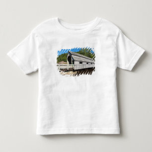 Camiseta Infantil Nova Brunswick, Canadá. Rio Irlandês coberto