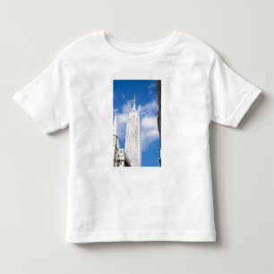 Camiseta Infantil Nova York, NY, EUA - Uma visão do centro New York