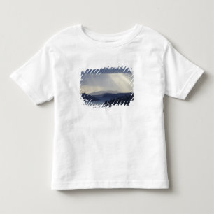 Camiseta Infantil Nova Zelândia, Otago, Dunedin, Eixos de luz sobre