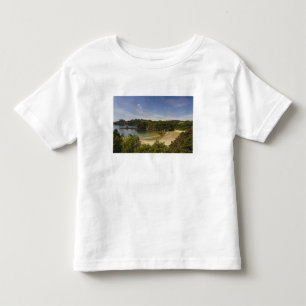 Camiseta Infantil Nova Zelândia, Southland, Ilha Stewart, Halfmoon