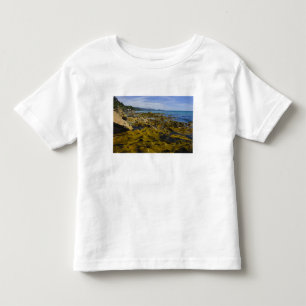 Camiseta Infantil Nova Zelândia, Southland, Ilha Stewart. Kelp