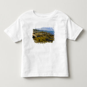 Camiseta Infantil Nova Zelândia, Southland, Ilha Stewart. Kelp