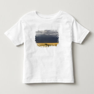 Camiseta Infantil Nuvens de tempestade e estrada através das planíci
