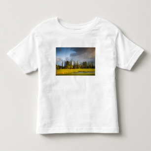 Camiseta Infantil O campo de golfe Makai em Princeville
