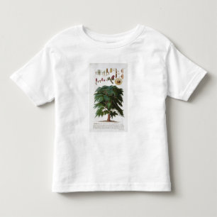Camiseta Infantil O cedro, gravado por Johann Jakob Haid (1704-67)