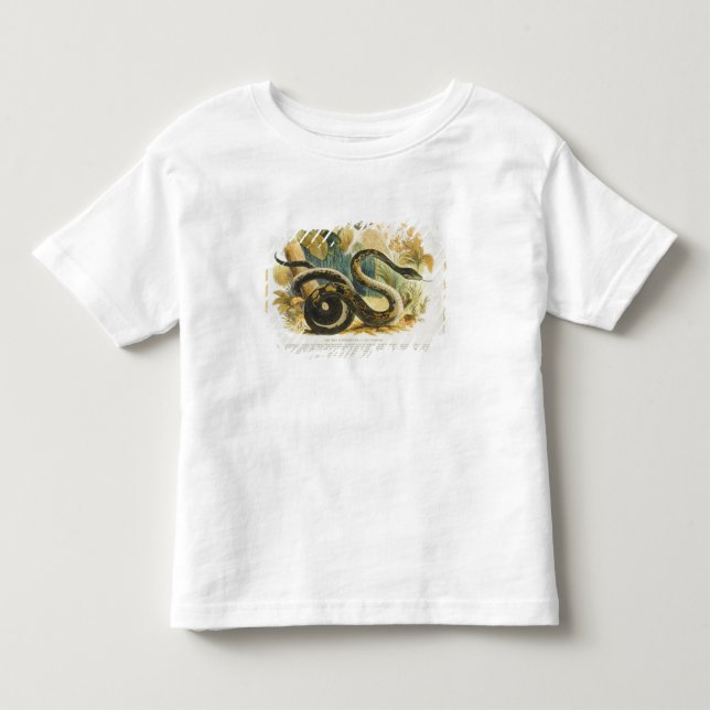 Camiseta Infantil O Constrictor de boa, pub. educacional da (Frente)