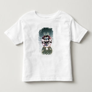 Camiseta Infantil O diamante de Agra