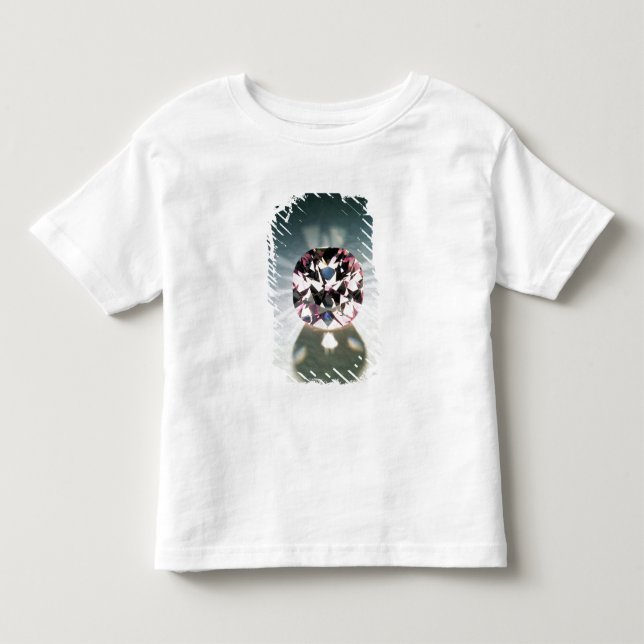 Camiseta Infantil O diamante de Agra (Frente)