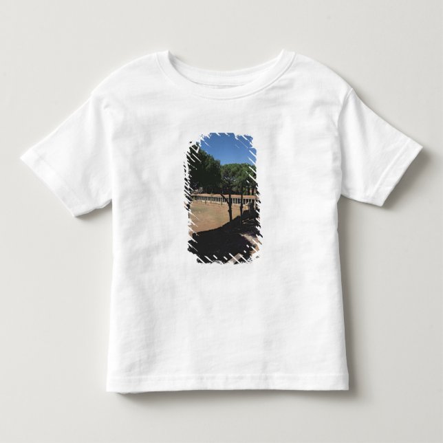 Camiseta Infantil O grande Palaestra (Frente)