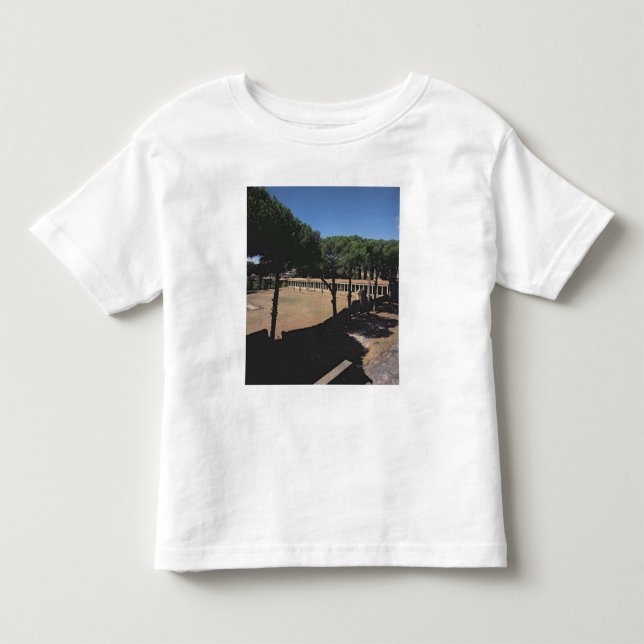 Camiseta Infantil O grande Palaestra (Frente)
