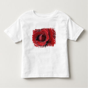 Camiseta Infantil O local coberto de decoração de rosas vermelhas em