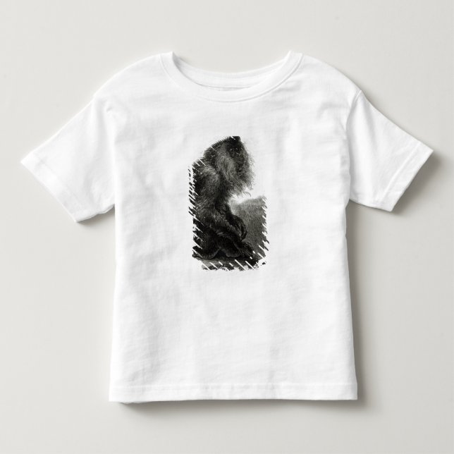 Camiseta Infantil O macaco indiano de Waderoo (Frente)