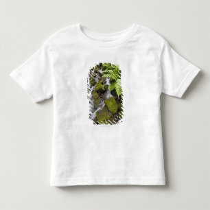 Camiseta Infantil O musgo cobriu rochas com água e as samambaias