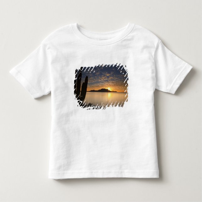 Camiseta Infantil O nascer do sol sobre Isla Danzante no Golfo de (Frente)