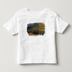 Camiseta Infantil O Oarsman, 1897