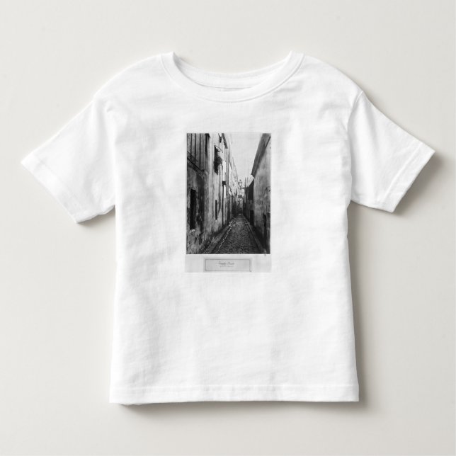 Camiseta Infantil O obstáculo Briard, de menciona Coquenard, Paris (Frente)