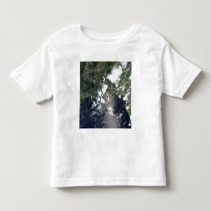 Camiseta Infantil O óleo espalha para o nordeste