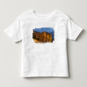 Camiseta Infantil O Palácio do Papa em Avinhão ao pôr do sol. Constr