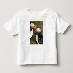 Camiseta Infantil O papagaio-do-mar atlântico