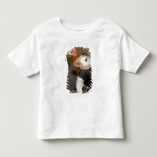 Camiseta Infantil O papagaio-do-mar atlântico