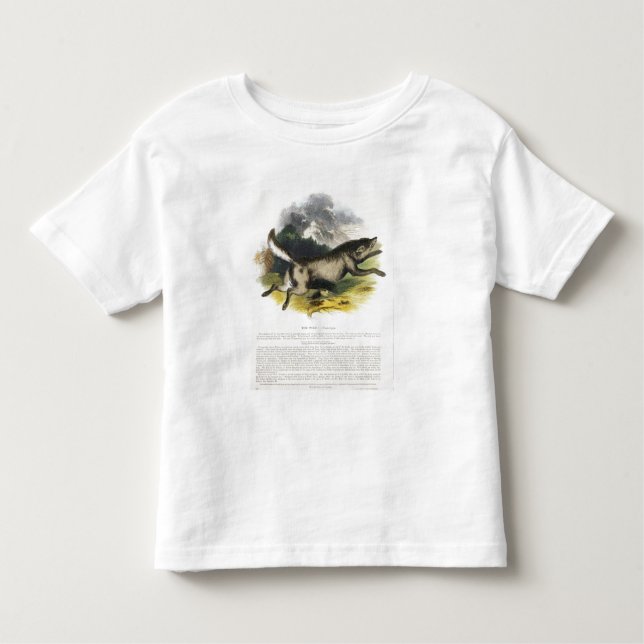 Camiseta Infantil O plutônio educacional da ilustração do lobo (Frente)