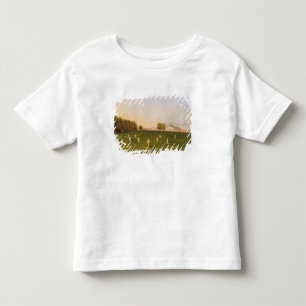 Camiseta Infantil O primeiro fósforo grande do grilo jogou por