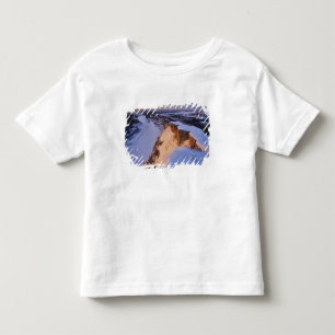 Camiseta Infantil O Rio Little Missouri no inverno em