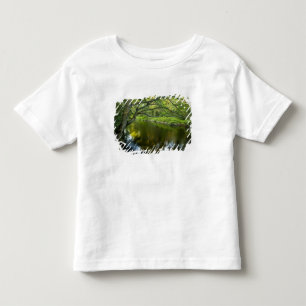 Camiseta Infantil O rio Taunton em Bridgewater, 2