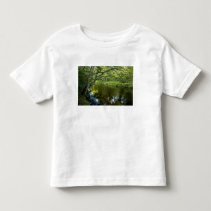 Camiseta Infantil O rio Taunton em Bridgewater, 2