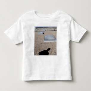 Camiseta Infantil O sistema de iluminação do dia solar